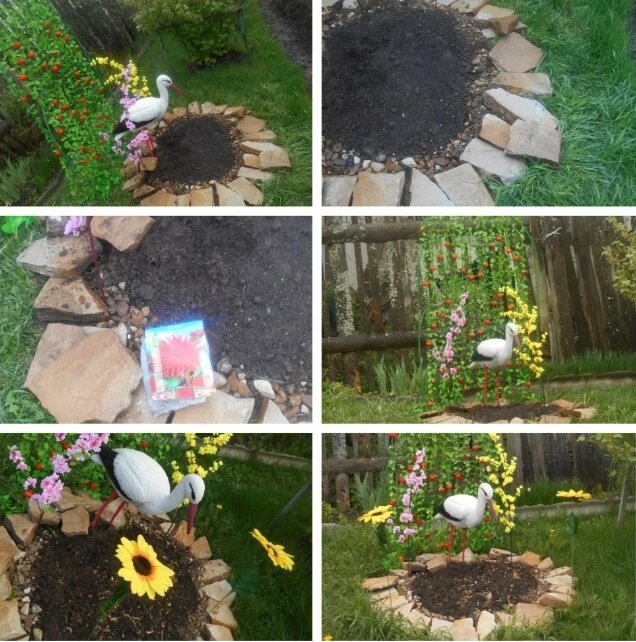  клумба, фото мои