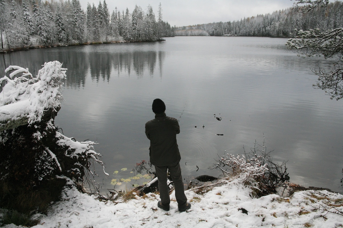 Фото автора.