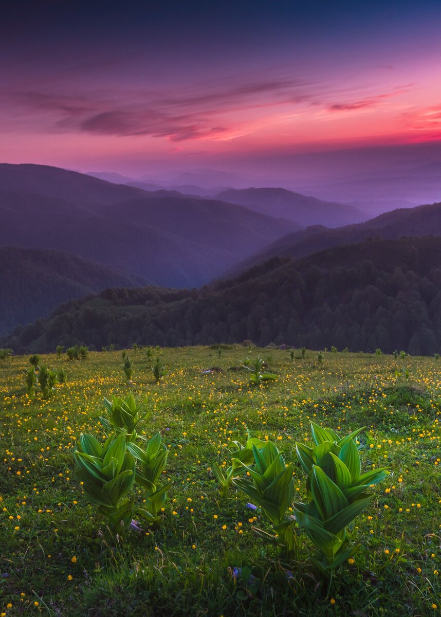 Чечня. Беной. Фотография Тимура Агирова.