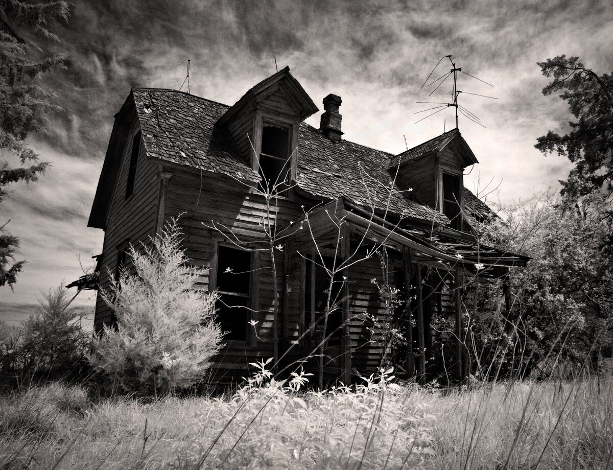 Изображение из открытых источников. 