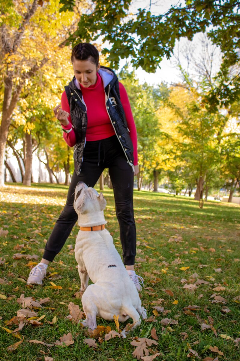 Если собака не слышит вас на улице - начните работу с этого упражнения |  #Dog Time | Дзен