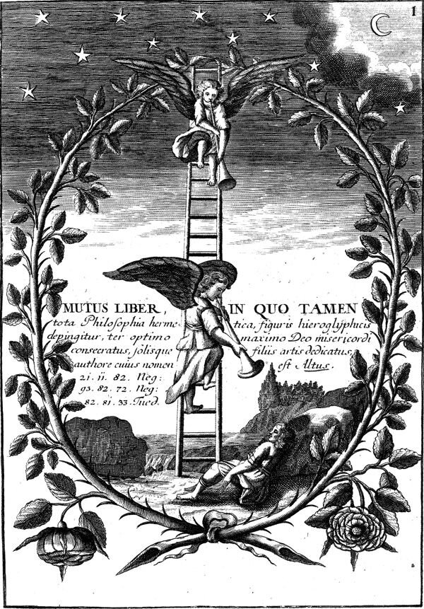 Mutus Liber: красноречивое молчание книги. Яндекс картинки