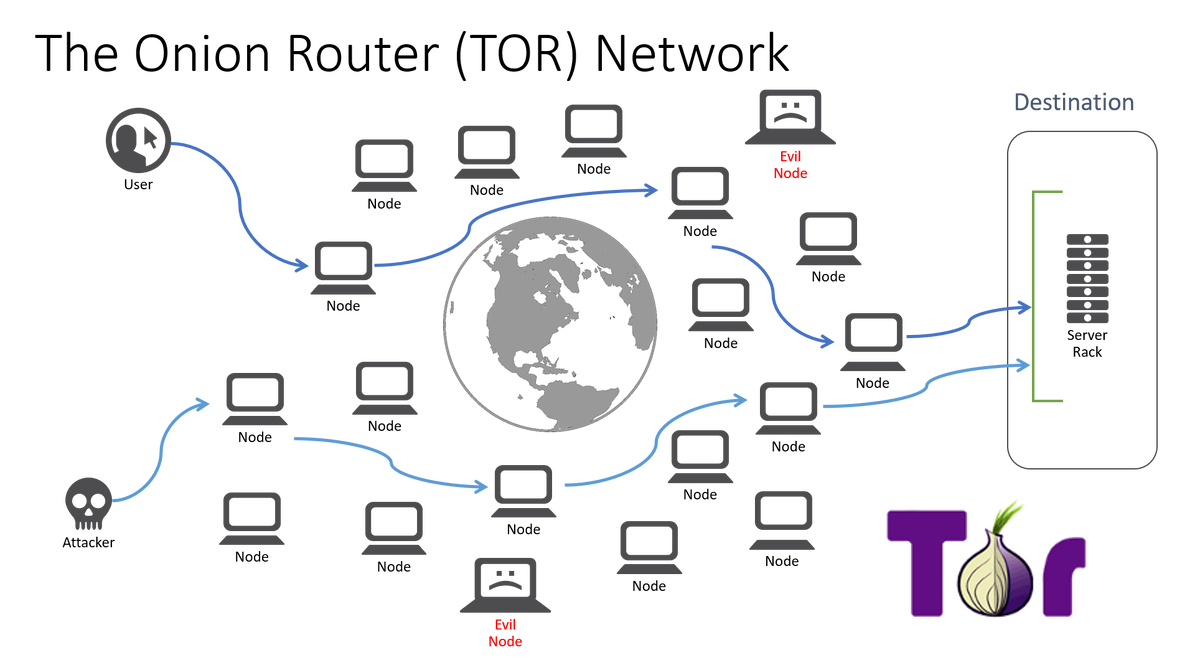 Network где найти. Схема работы тор браузера. Схема сети Tor. Схема Tor browser + VPN. Схема работы Tor.