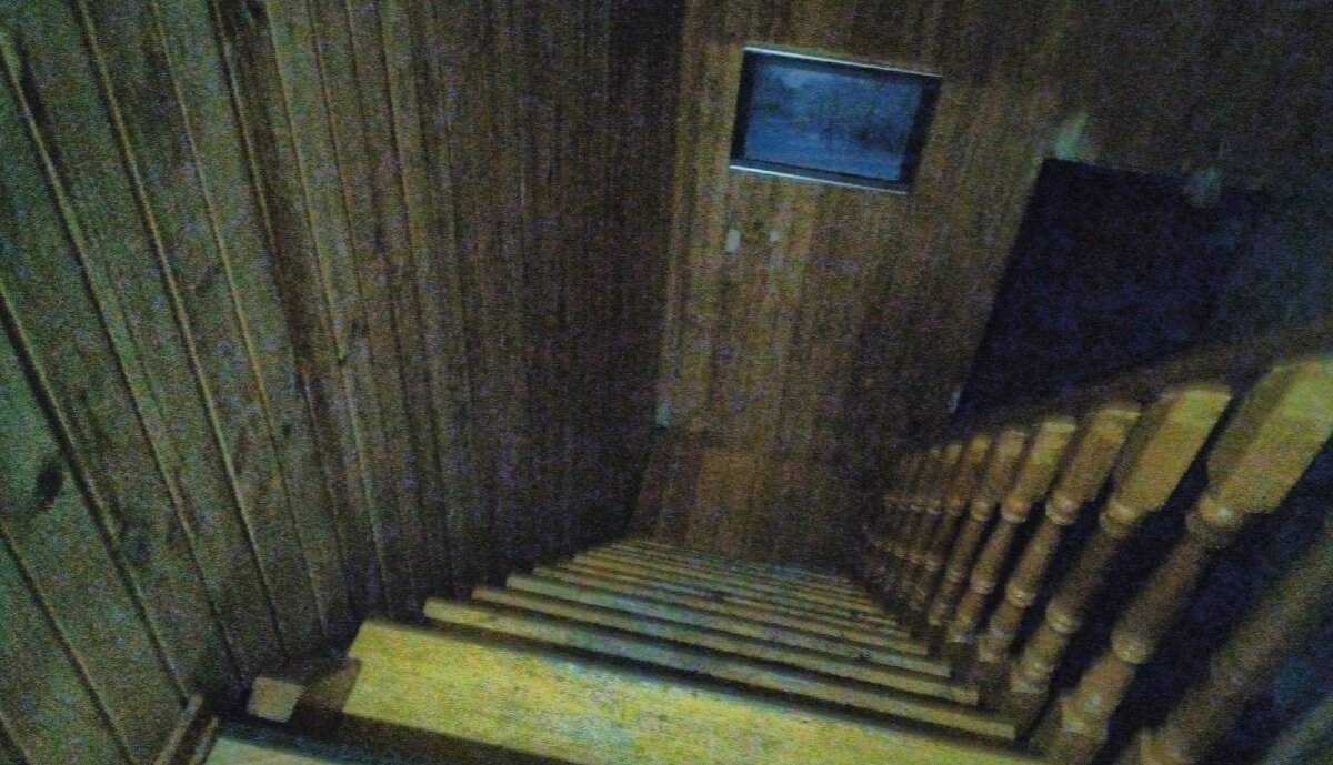 Лестница достаточно коварна и не потерпела моей задумчивости.