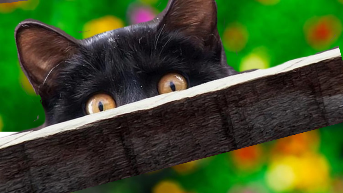 Понравилась статья, поставьте лайк. Подписывайтесь на канал!!