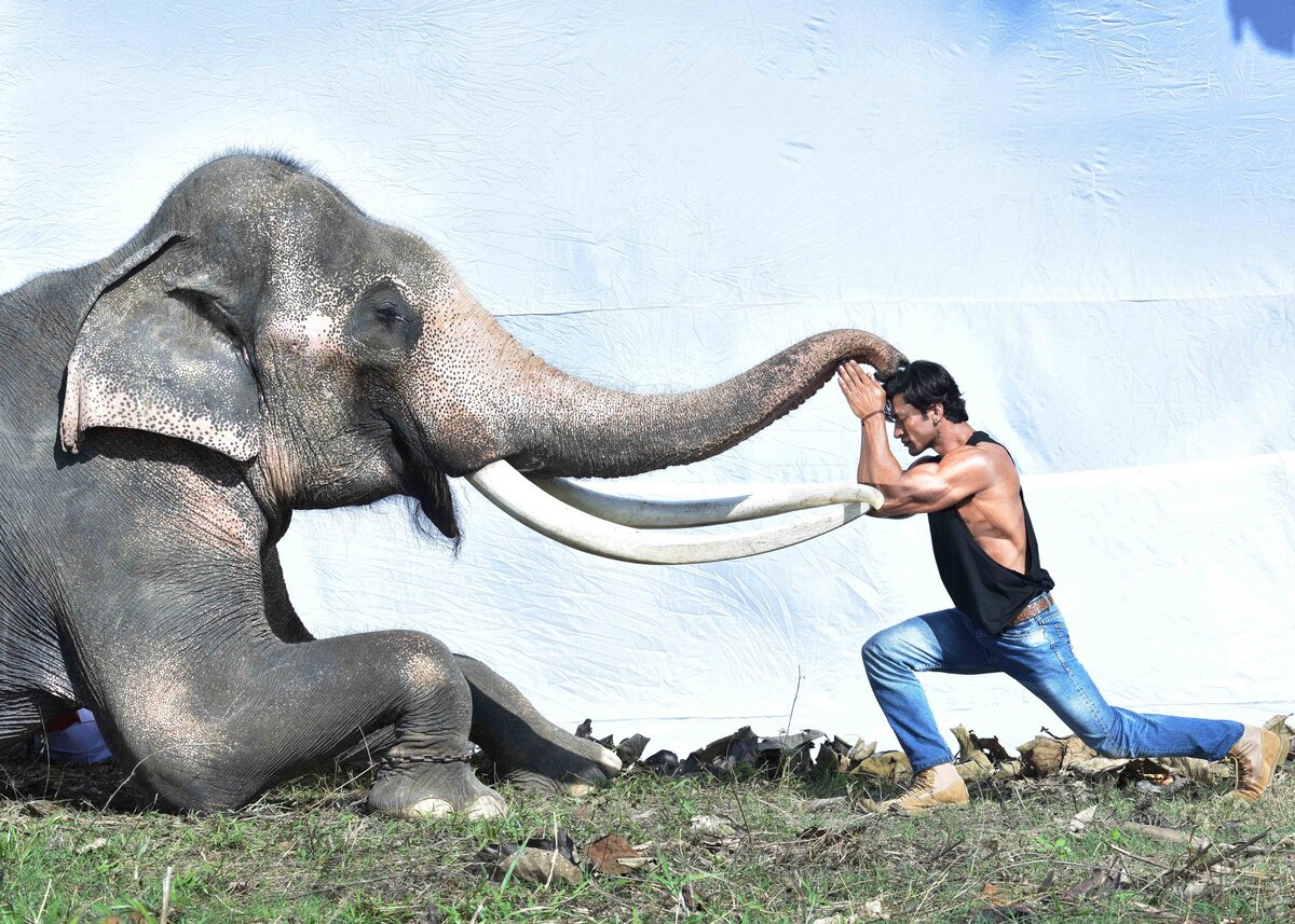 Источник: Вконтакте.  На съёмках «Джунгли». Фото от Хайдера Кхана.