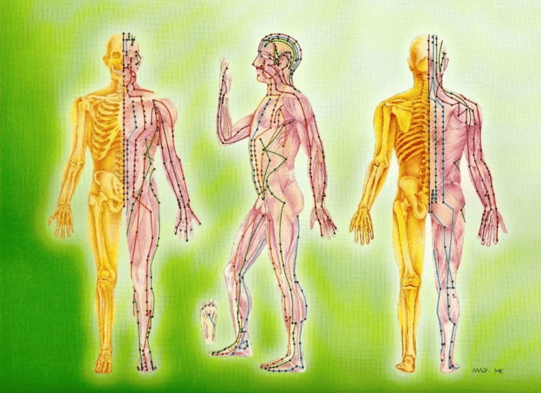 Энергетические каналы и меридианы человека схема и направления