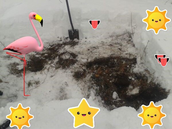 Убрали снег.