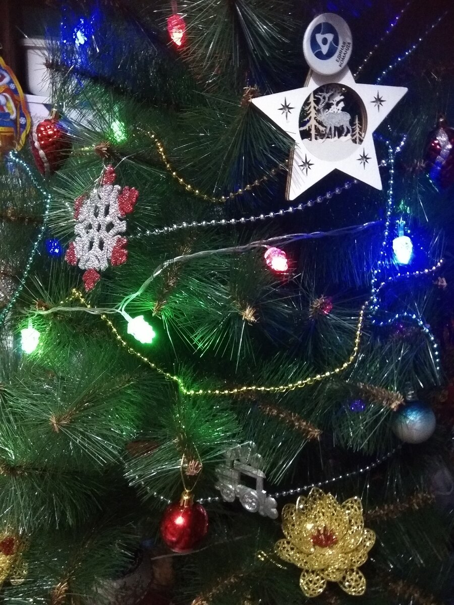 На ёлочку повесила звёздочку, которая висела год назад в нашей палате в онкогематологии в Екатеринбурге и значок, который волонтёры подарили дочке
