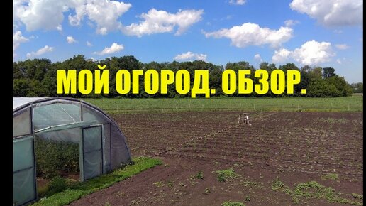 Что выгоднее выращивать в огороде?