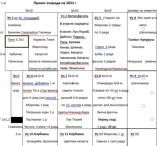 Проект огорода с разбивкой на участки