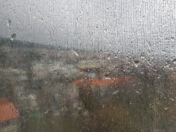 Погода шепчет...