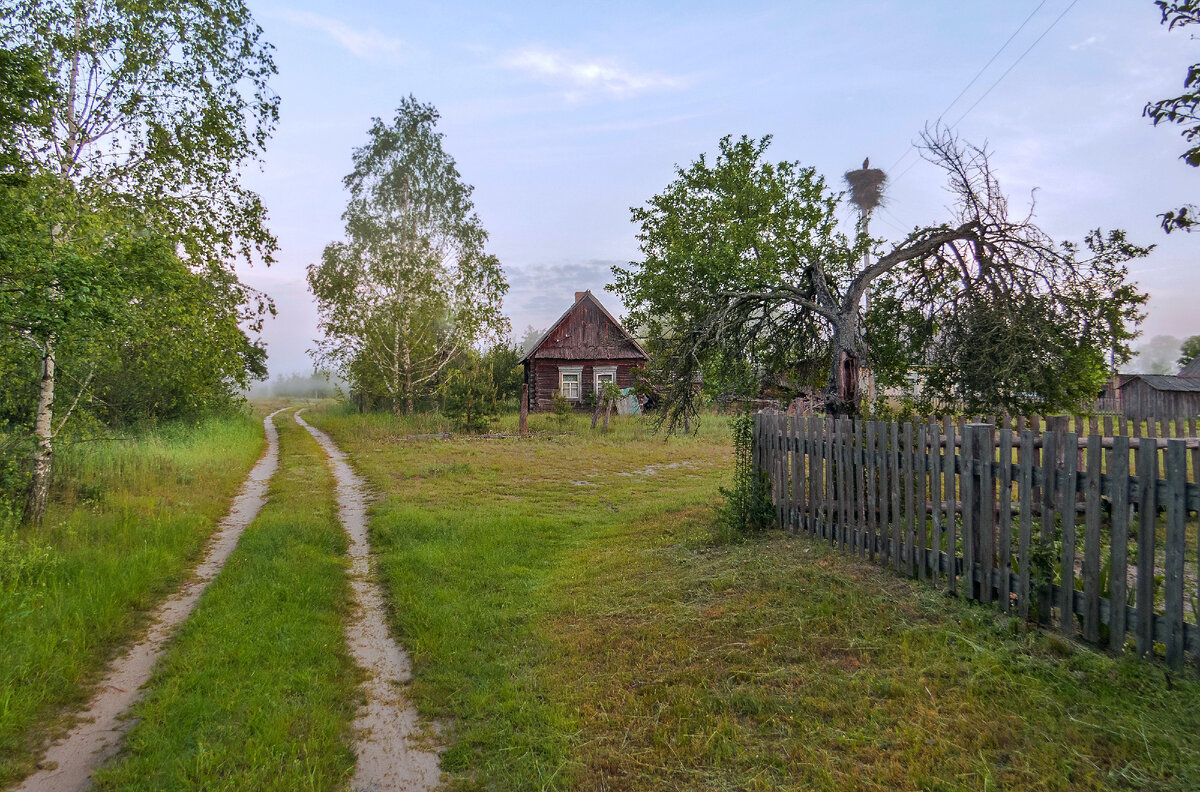 д. Лисное, Лельчицкий район, Беларусь 