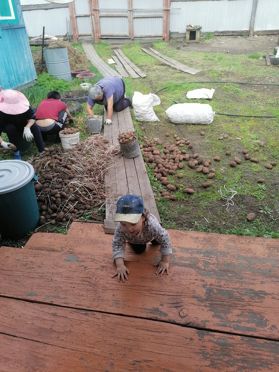 Маленькая помощница. 