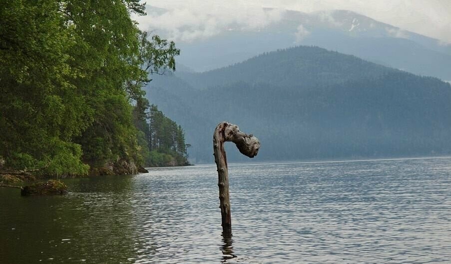 Чудовище в озере байкал