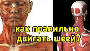 Уникальное упражнение для укрепления шеи: движение в три стороны