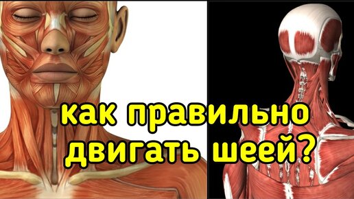 Download Video: Уникальное упражнение для укрепления шеи: движение в три стороны