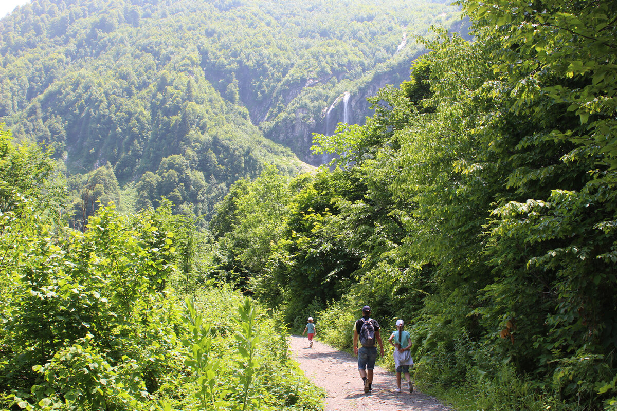 тропа на бзерпинский карниз. эстонская тропа красная поляна. тропы красной поляны. тропы красной поляны. тропы красной поляны.