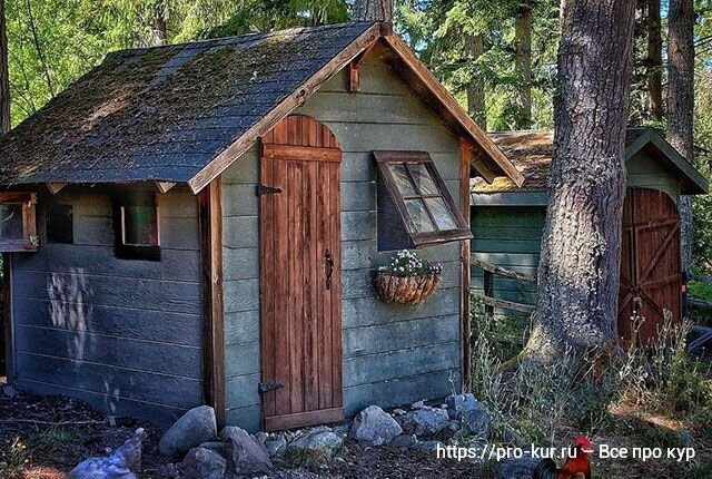 Как сделать курятник своими руками