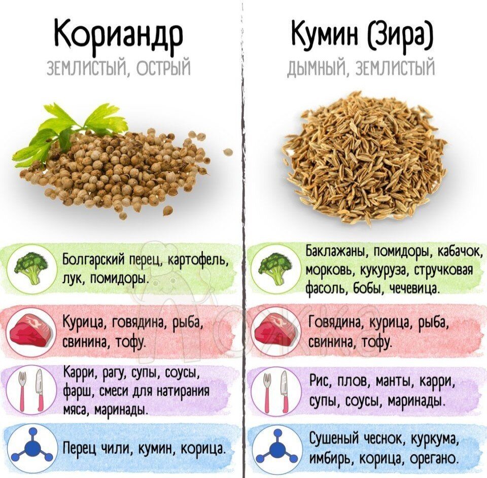 6 специй и их сочетания