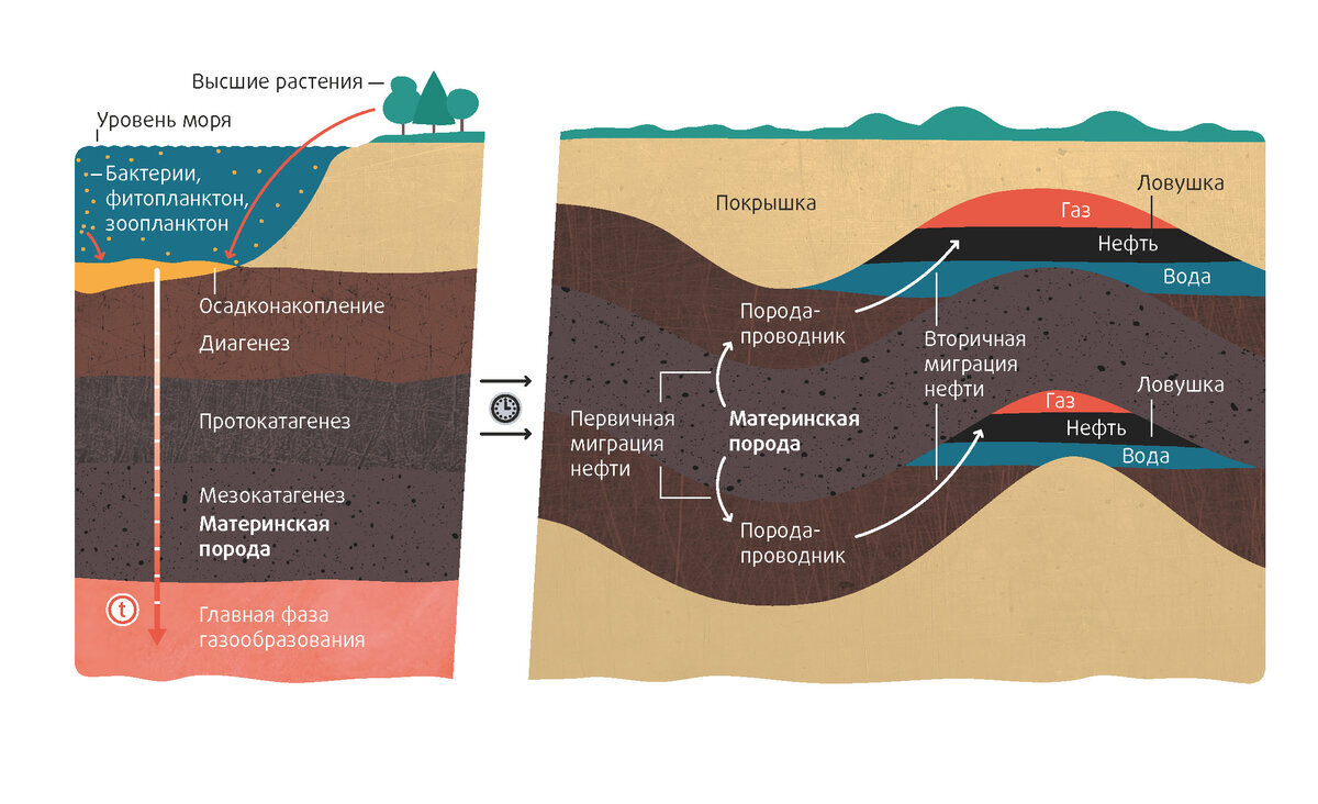 Как образуется нефть в недрах земли. Происхождение нефти и газа. Откуда взялась нефть в недрах земли. Как образуется нефть в недрах земли. Как образуется нефть в недрах земли.