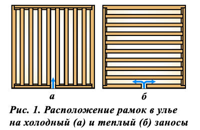 Известно, что размещение рамок на теплый и холодный занос (рис. 1, а, б) по-разному сказывается на температурном режиме гнезда пчел.