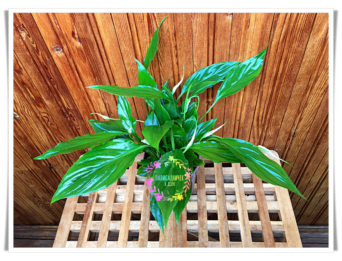 Год назад, в апреле.