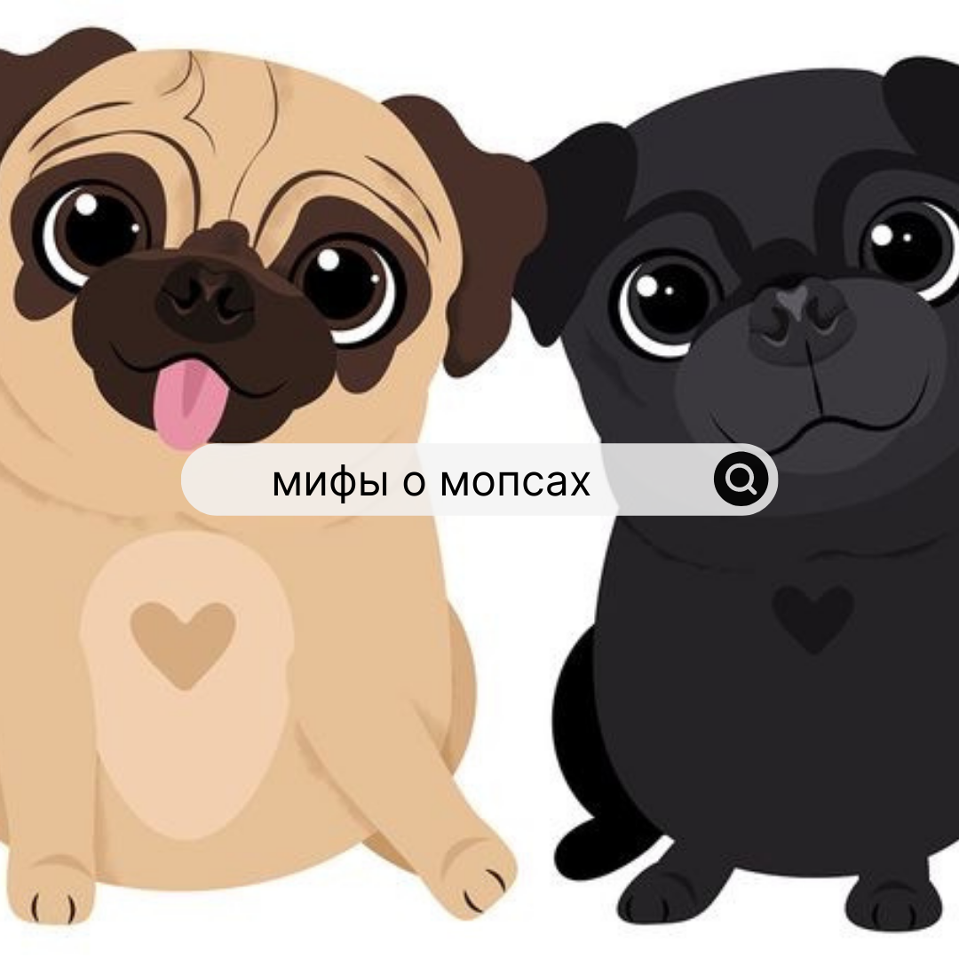 Фото взято из свободного источника в интернете 