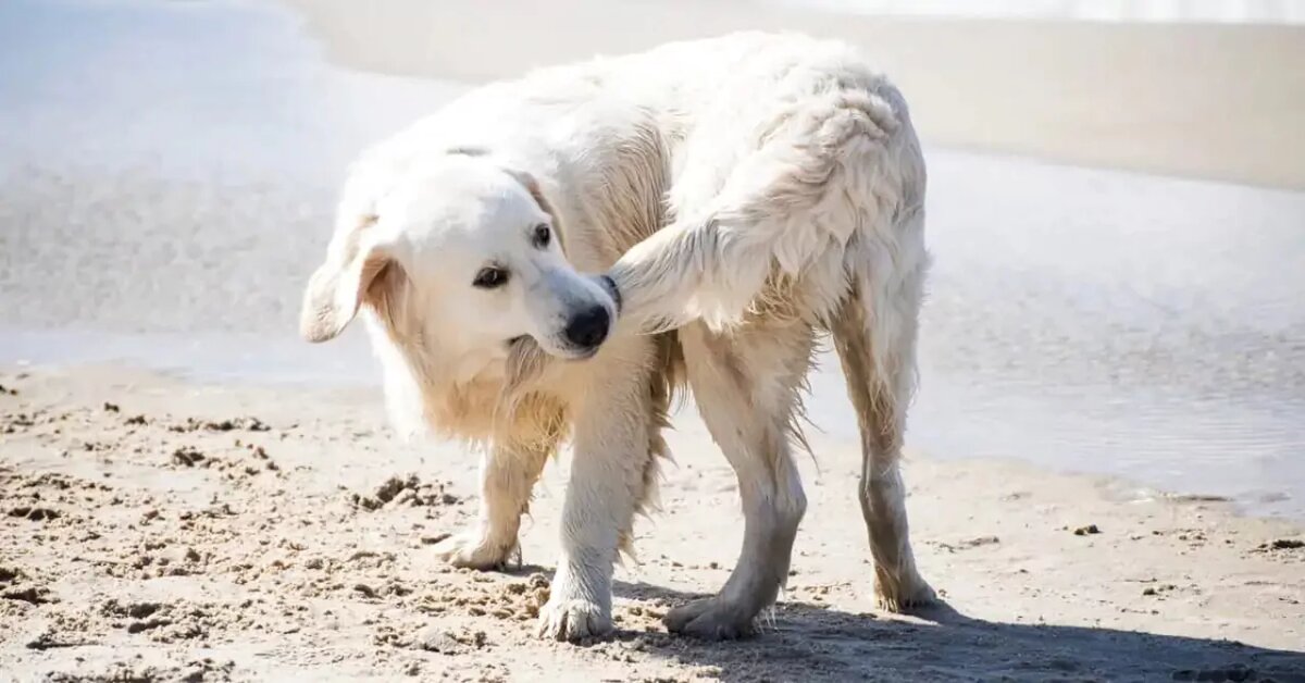 Для малышей эта часть тела скорее игрушка, чем анатомия