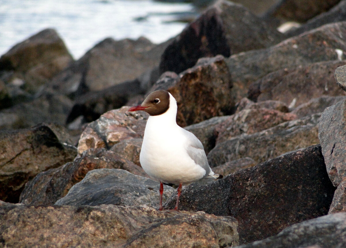 С самой ночи и до моего ухода, я тоже находился под пристальным наблюдением!!! 