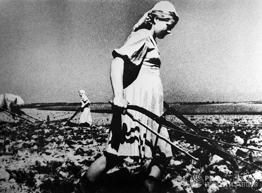 Яндекс картинки