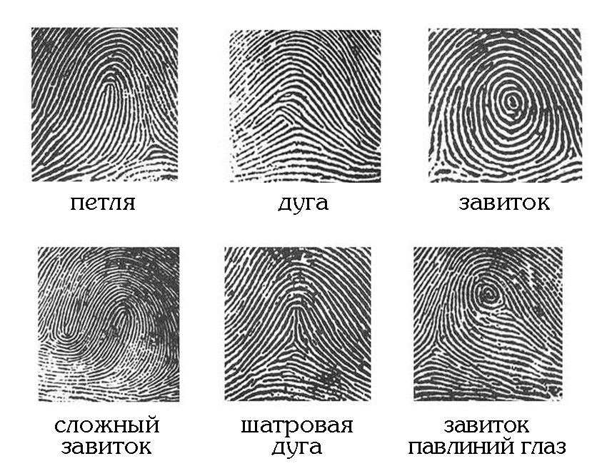 Отпечатки пальцев как называется рисунок