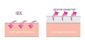 Что такое IBX