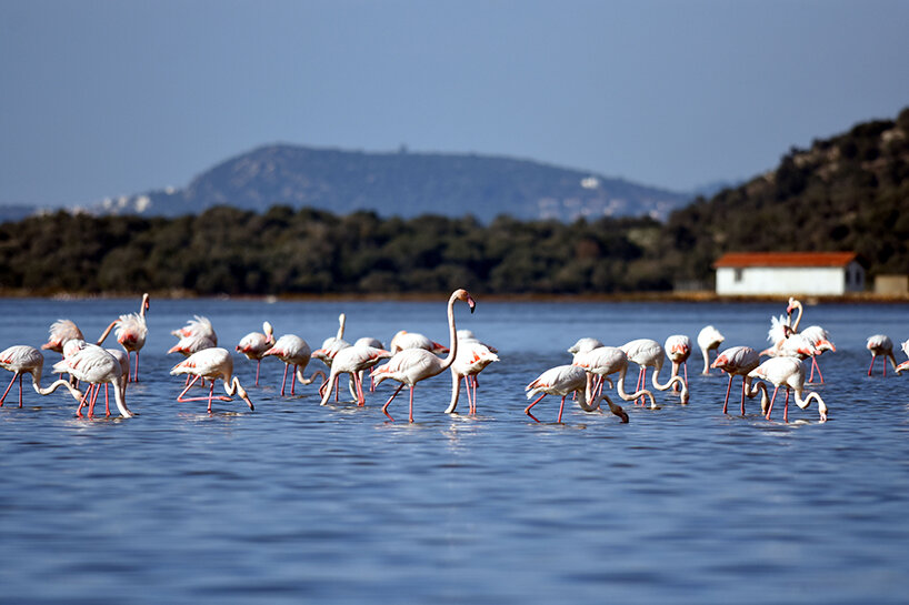 Фото: интернет