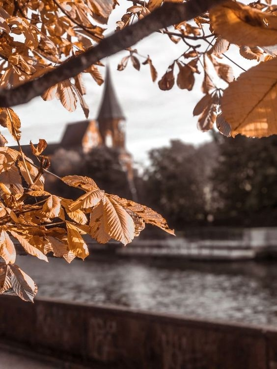 Если постараться, то в Калининграде можно отыскать следы старого Кёнигсберга