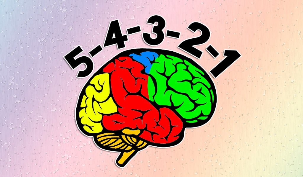 Изображение взято из открытых источников в интернете