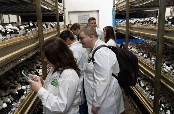    Современное грибоводство привлекает молодежь технологичностью производства