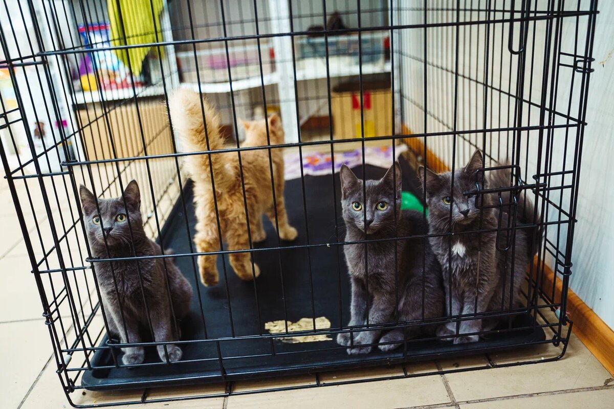 Прими участие в проекте