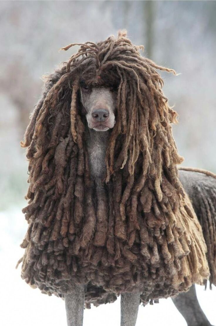 Источник фото: https://ru.pinterest.com/pin/663718063820085773/