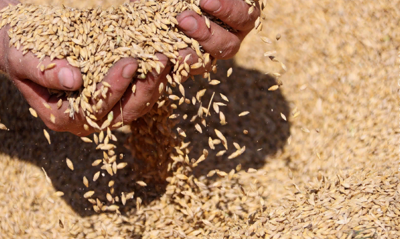 фото с сайта рассвет-якшур-бодья.рф