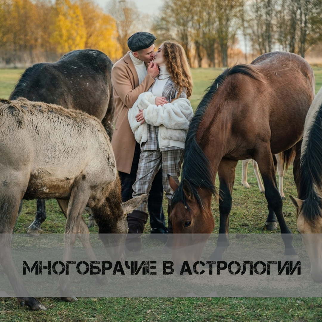 фотограф: Наталья Сидорова