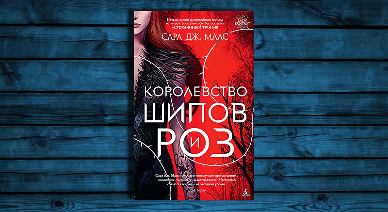 Королевство шипов и роз энтони. Королевство шипов и роз энтони. Фейра и тамлин. Королевство шипов и роз ку. Ризанд кшир.