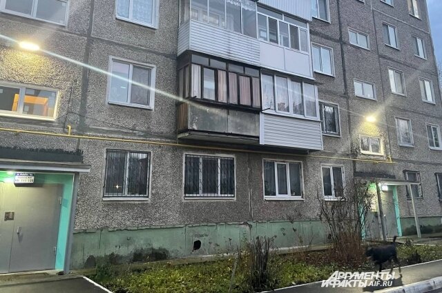    Михаил Малышев ел бродячих животных, прежде чем переключился на людей, уверяют соседи. Фото:  АиФ/ Татьяна Титова