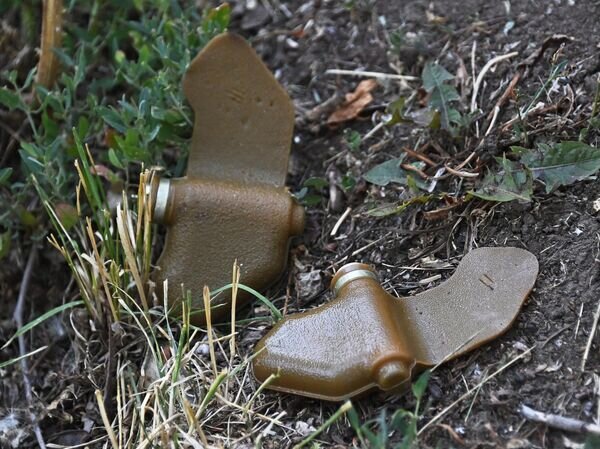   © РИА Новости РИА Новости