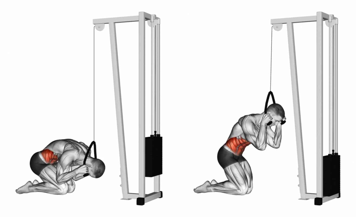 Упражнение с блоком схемы Cable workout, Muscle anatomy, Muscle building workouts