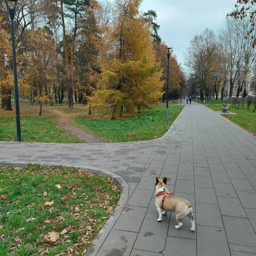 По дороге на Торфянку