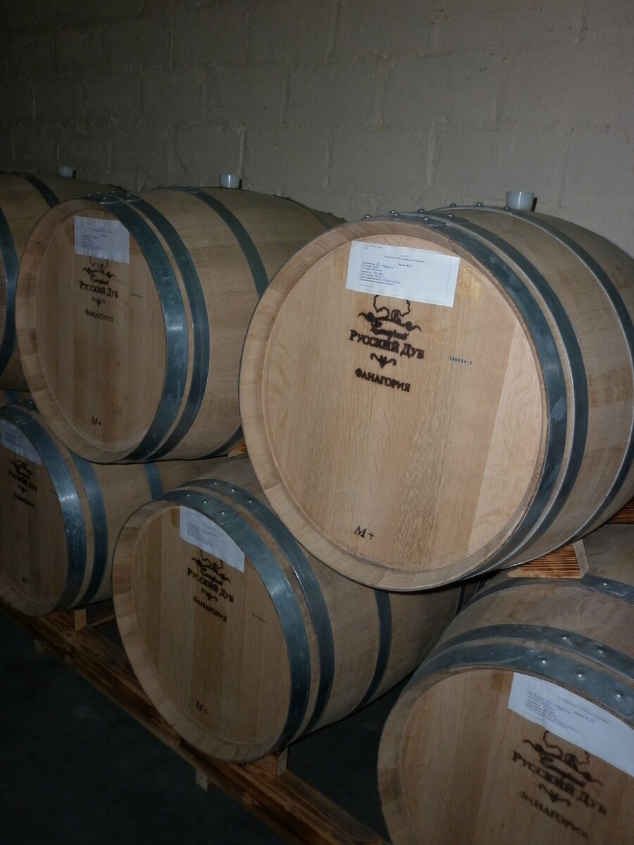 В подвалах Фанагории