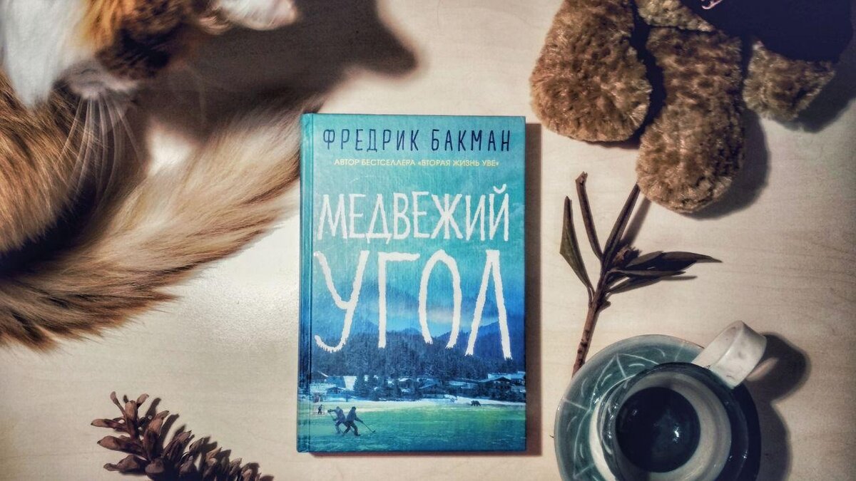 Медвежий угол книга слушать. Книга Фредерик Бакман Медвежий угол. Медвежий угол Бакман. Медвежий угол книга Эстетика. Медвежий угол книга обложка.