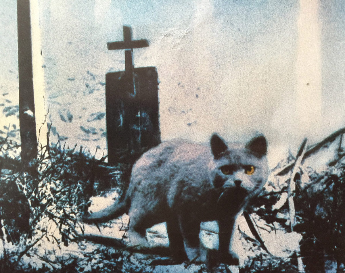 фото kino-teatr.ru