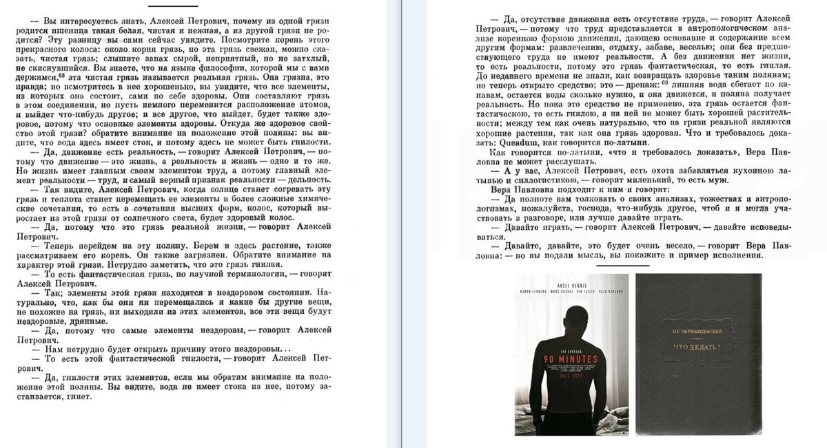Отрывок из романа "Что делать?" Н. Г. Чернышевского